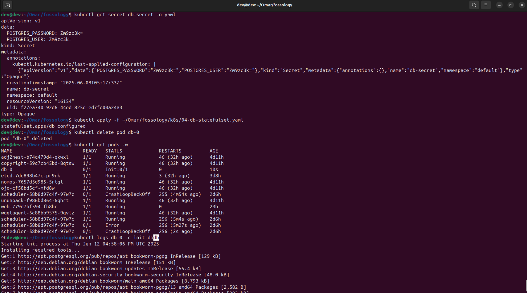 Terminal DB Pod